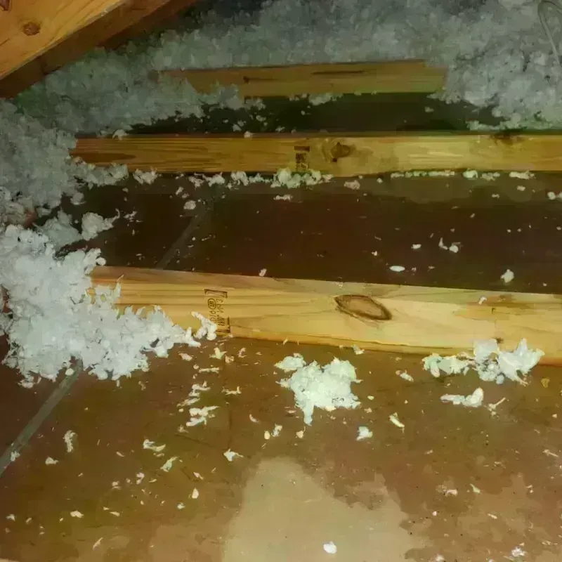 Attic Water Damage in Platte County, MO