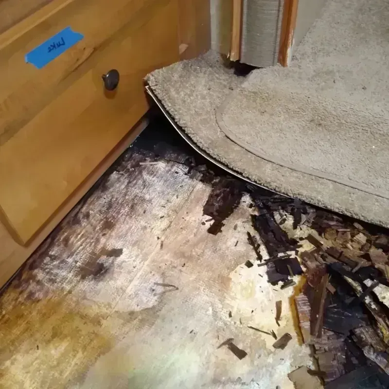 Wood Floor Water Damage in Platte County, MO